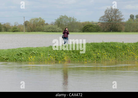 Tewkesbury- UK - 30 avril 2012 - une fille à la recherche au champs inondés près du centre de Tewkesbury, Royaume-Uni après de fortes pluies. Banque D'Images