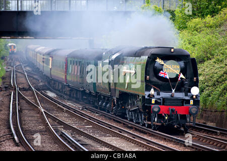 La flèche d'or des approches plus de Tonbridge, Kent, UK. Banque D'Images