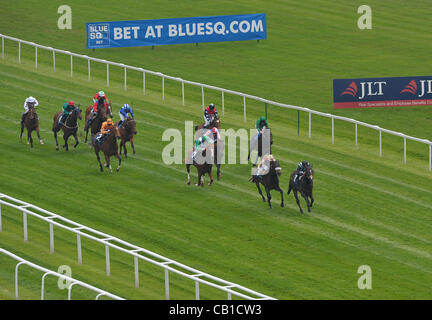 Mgr Roko monté par James Doyle remporte la mise sur votre mobile au bluesq.com E B F Maiden Stakes Cl4 1m2f6y - les courses de chevaux à l'Hippodrome de Newbury, Berkshire - 24/03/2012 - CRÉDIT OBLIGATOIRE : Martin Dalton Banque D'Images