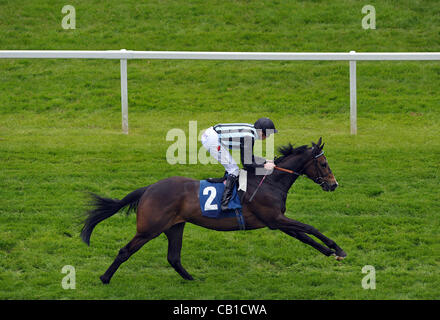 Mgr Roko monté par James Doyle remporte la mise sur votre mobile au bluesq.com E B F Maiden Stakes Cl4 1m2f6y - les courses de chevaux à l'Hippodrome de Newbury, Berkshire - 24/03/2012 - CRÉDIT OBLIGATOIRE : Martin Dalton Banque D'Images