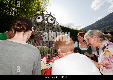 Les touristes, les habitants, les jeunes et les vieux, travailler ensemble pour décorer des sculptures de fil avec narcisse et de les rendre prêts pour le défilé du 53e Festival de narcisses, Grundlsee, Ausseerland, Styrie, Autriche, le samedi 19 mai 2012. Banque D'Images