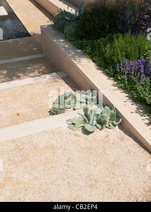 L'Arthritis Research UK jardin conçu par Thomas Hoblyn - Médaille argent doré avec chemin planté Banque D'Images