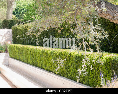 L'Arthritis Research UK jardin conçu par Thomas Hoblyn - Médaille argent doré avec de l'eau décoratif affichage entre deux haies de longue Banque D'Images