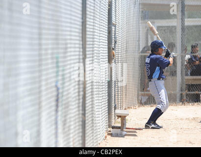 Hideki Matsui (rayons X), le 10 mai 2012 - MLB : Hideki Matsui du Japon des Rays de Tampa Bay au cours d'un long entraînement de printemps match contre les Twins du Minnesota à Port Charlotte, en Floride, États-Unis. (Photo de bla) Banque D'Images