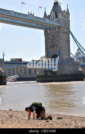 La Tour de Londres Wharf, London, UK. 27 mai 2012. Avec le Tower Bridge en arrière-plan, un homme à des découvertes archéologiques sur l'estran comme il aime le week-end de l'archéologie à la Tour de Londres. Banque D'Images