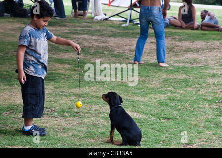 Un jeune garçon jouant défis un Rottweiler chiot avec une balle à la fin d'un morceau de ficelle à une maison de Chavouot passe dans une tentative de ranimer la passion de la justice sociale de protestation contre l'été 2011. Jérusalem, Israël. 27-mai-2012. Banque D'Images