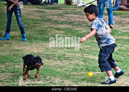 Un jeune garçon jouant défis un Rottweiler chiot avec une balle à la fin d'un morceau de ficelle à une maison de Chavouot passe dans une tentative de ranimer la passion de la justice sociale de protestation contre l'été 2011. Jérusalem, Israël. 27-mai-2012. Banque D'Images