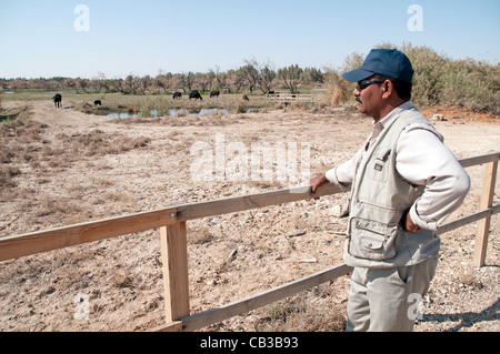 Un agent de réservation donne sur la Réserve des zones humides d'Azraq dans al-Azraq, oasis du désert de l'Est de la Jordanie. Banque D'Images