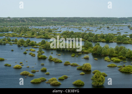 La banque de la rivière Desna, une vue de l'Novgorod-Siverskyi Transfiguration du Sauveur Monastère, Ukraine Banque D'Images