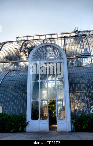 Palm House à Kew Gardens à Londres Banque D'Images