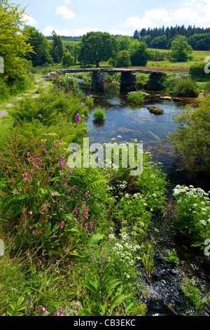 Pont battant médiéval composé de quatre tranches de granit massif traversant l'Est de la rivière Dart, Postbridge, Dartmoor, dans le Devon, Angleterre Banque D'Images