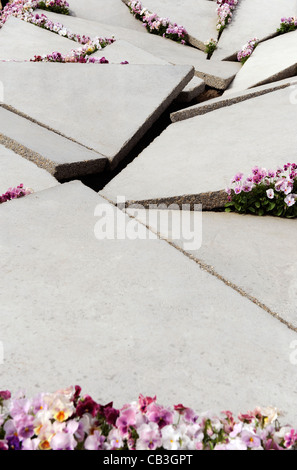 Des dalles de béton inégal avec des fleurs roses Banque D'Images