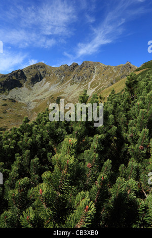 Vue sur montagnes Rohace, partie ouest du Parc National des Hautes Tatras, en Slovaquie. Banque D'Images