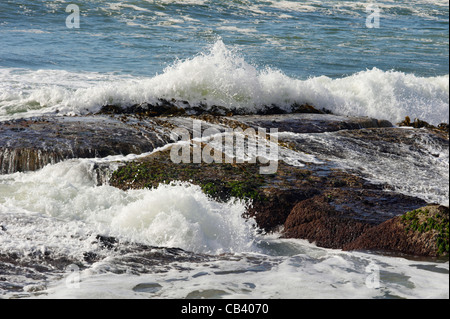 Vagues se briser sur les rochers, de la Baie d'incendies, de la côte du Nord-Est, Tasmanie, Australie Banque D'Images