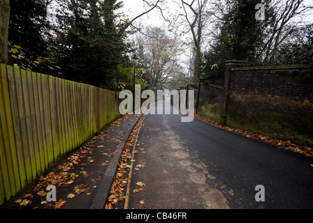 Swain's Lane hill, Highgate, Londres, Angleterre, RU, FR Banque D'Images