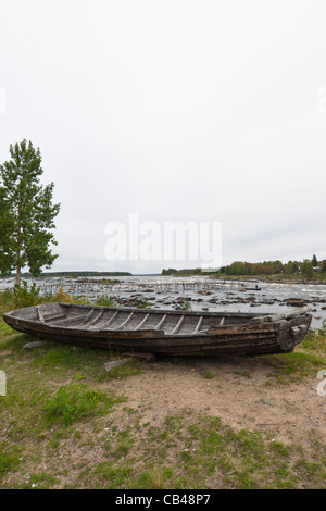 Pour bateau de débarquement du poisson capture à Whitefish dans net, Torne flux Kukkola, sur la frontière entre la Suède et la Finlande. Banque D'Images