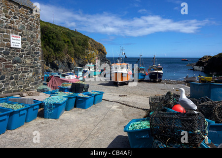 Bateaux de pêche sur la plage à Cadgwith, Péninsule du Lézard, Cornwall, Angleterre du Sud-Ouest, Royaume-Uni, Royaume-Uni, GO, Grande-Bretagne, Banque D'Images