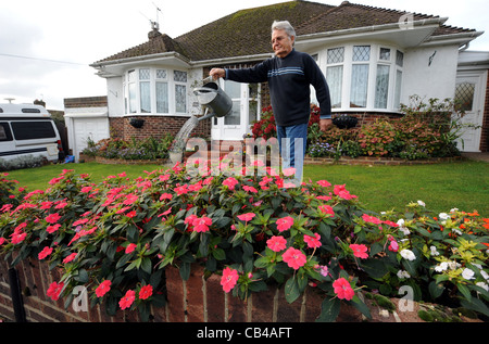 Un jardinier qui abreuvait ses Lizzy Bizzy qui fleurissent à la fin du mois de novembre en raison du temps chaud au Royaume-Uni Banque D'Images