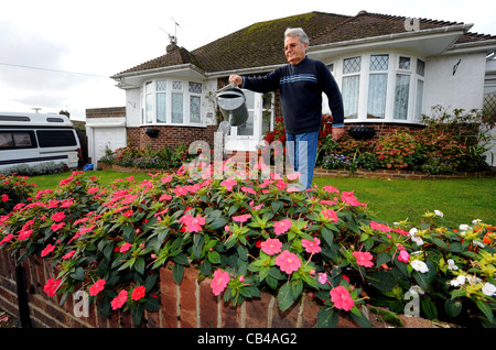 Un jardinier qui abreuvait ses Lizzy Bizzy qui fleurissent à la fin du mois de novembre en raison du temps chaud au Royaume-Uni Banque D'Images