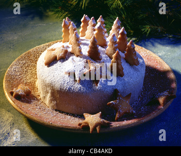 Gâteau de Noël et aux canneberges Banque D'Images