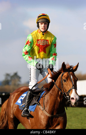 Le jockey Ruby Walsh saut revient après une traction sur Hivikos à Wincanton courses Mars 2009 Banque D'Images