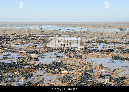 Plage à marée basse à Whitstable, Kent, Angleterre. Banque D'Images