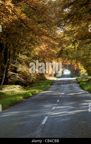 Routes de campagne vide en Ecosse au cours de l'automne Banque D'Images