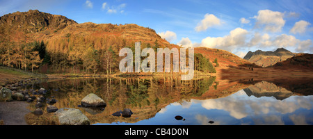 Vue panoramique Blea Tarn, peu de la vallée de Langdale, Lake District National Park, National Trust, England, UK Banque D'Images