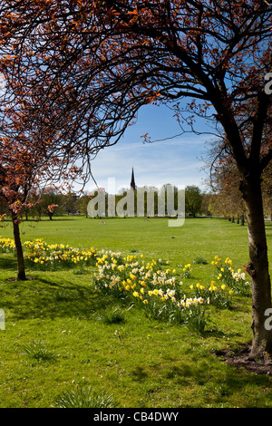 Le Stray au printemps, Harrogate, North Yorkshire Banque D'Images