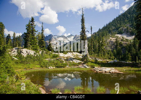 WASHINGTON - Mont Daniel reflétant dans un petit lac au-dessus du lac Spade dans la région sauvage des lacs alpins. Banque D'Images