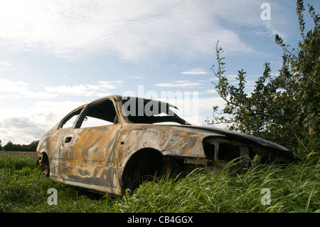Carcasse de voiture brûlée sur le bord d'un champ d'un point de vue bas, vert herbe ondulant et haie Banque D'Images