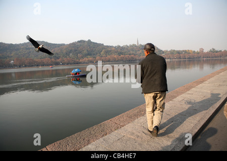 L'homme chinois volant son cerf-volant en forme d'oiseau de proie, le pont sur le lac de l'Ouest, à Hangzhou, Chine, Asie Banque D'Images