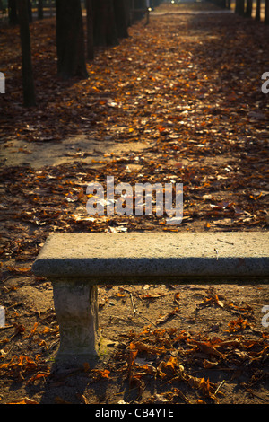 Le siège de Pierre et les feuilles d'automne au Jardin des Tuileries, Paris, France Banque D'Images