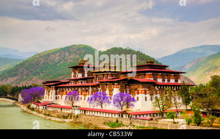 Le Dzong de Punakha, le Bhoutan avec ses célèbres jacarandas en fleurs Banque D'Images