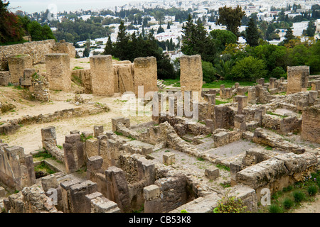 Ruines de villas romaines à Carthage, près de Tunis Tunisie Banque D'Images