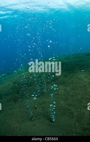 De bulles provenant hors de la terre sous l'eau à partir d'un volcan actif volcan Sangeang, Sumbawa, à proximité de Parc National de Komodo Banque D'Images