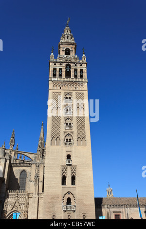 La tour Giralda (Cathédrale de Séville - Espagne) Banque D'Images