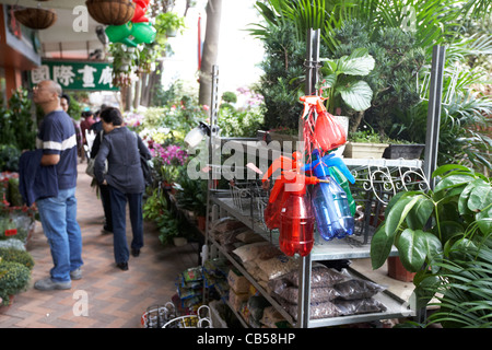 Le marché aux fleurs district Mong Kok Kowloon Hong Kong région administrative spéciale de Chine Banque D'Images