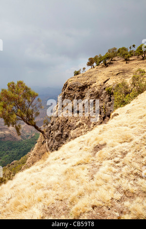 Paysage spectaculaire le long de l'escarpement nord dans le parc national des montagnes du Simien, le nord de l'Éthiopie, l'Afrique. Banque D'Images