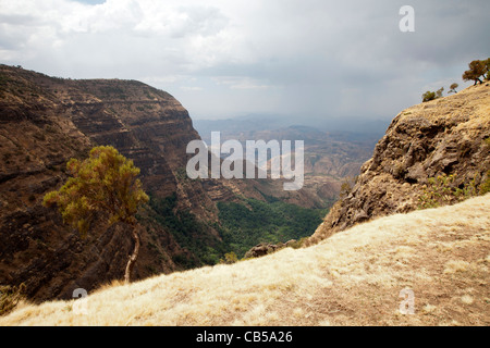 Paysage spectaculaire le long de l'escarpement nord dans le parc national des montagnes du Simien, le nord de l'Éthiopie, l'Afrique. Banque D'Images