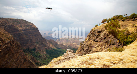 Paysage spectaculaire le long de l'escarpement nord dans le parc national des montagnes du Simien, le nord de l'Éthiopie, l'Afrique. Banque D'Images
