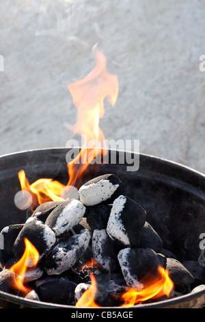 Un gril à charbon de bois et les flammes Banque D'Images