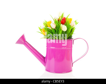 Arrosoir en plastique rose avec tulipes sur fond blanc Banque D'Images