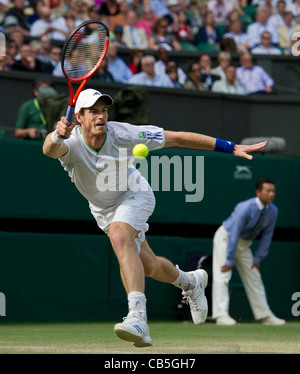 29.06.2011. Andy Murray GBR (4) v ESP Feliciano Lopez. Andy en action. Les Championnats de tennis de Wimbledon. Banque D'Images