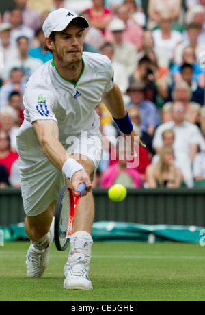 29.06.2011. Andy Murray GBR (4) v ESP Feliciano Lopez. Andy en action. Les Championnats de tennis de Wimbledon. Banque D'Images