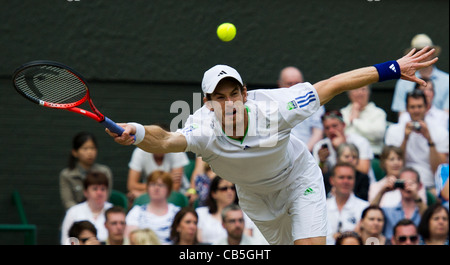 29.06.2011. Andy Murray GBR (4) v ESP Feliciano Lopez. Andy en action. Les Championnats de tennis de Wimbledon. Banque D'Images