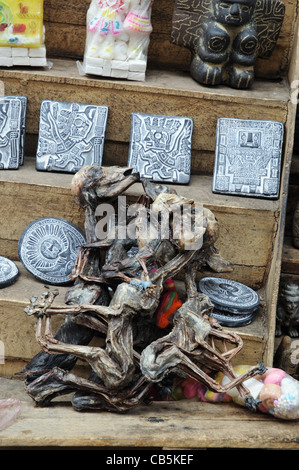 Llame foetus morts pour la vente dans le marché des sorcières, La Paz, Bolivie Banque D'Images