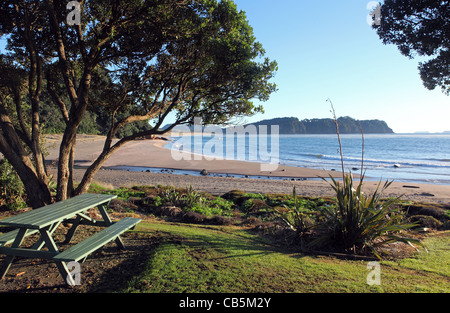 Hot Water Beach sur la péninsule de Coromandel, Nouvelle-Zélande Banque D'Images