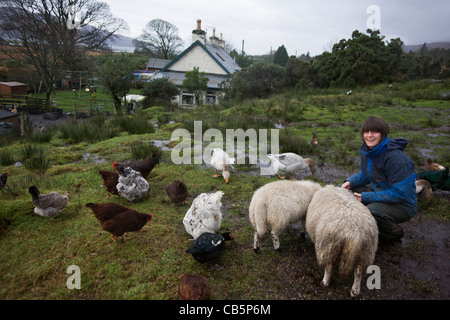 Agent immobilier Sarah Leggitt nourrit son bétail à son chalet, une ancienne forge à Lochbuie, Ile de Mull, en Ecosse. Banque D'Images