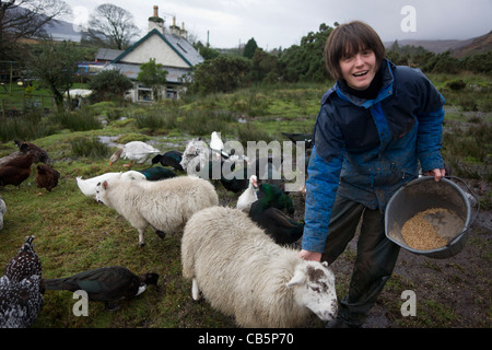 Agent immobilier Sarah Leggitt nourrit son bétail à son chalet, une ancienne forge à Lochbuie, Ile de Mull, en Ecosse. Banque D'Images